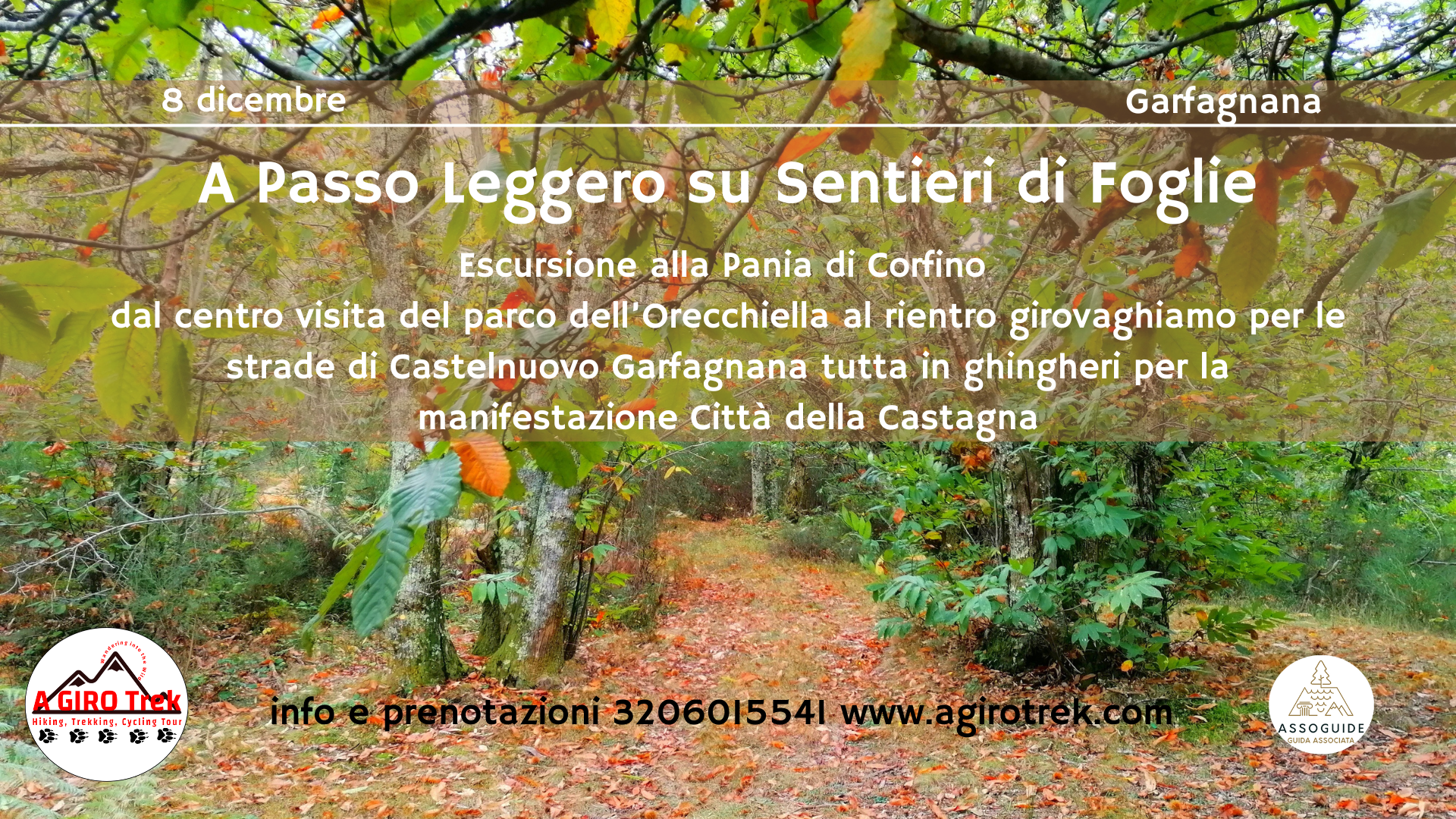 foliage garfagnana castagne